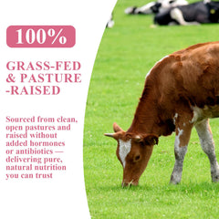 BudLive Beef Organ Spleen capsules; convenient, iron-rich daily nutrition.