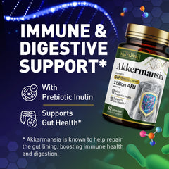 Delayed-release Akkermansia capsules protect bacteria in stomach acid.