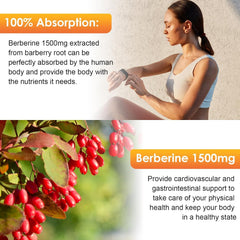 Bunkka Berberine Drops organic cinnamon ingredient highlight