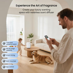 CACAFSFY diffuser 400ml bottle setup enabling long-lasting fragrance