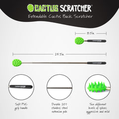 Cactus Scratcher compact-folding design fits in purse or bag
