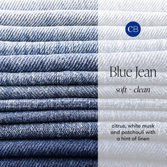 Capri Blue Blue Jean diffuser setup image emphasizing easy use and clean scent distribution