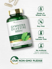 Carlyle Gymnema Sylvestre packaging flatlay, ready to add to routines