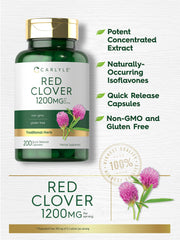 Close-up of red clover blossoms illustrates natural ingredient sourcing for antioxidant-rich benefits.