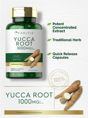Carlyle Yucca Root Extract label on bottle, emphasizing non-GMO and gluten-free quality.