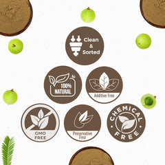 Carmel Organics Amla powder used in a face mask