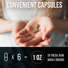 Carnivore Method kidney capsules visual with kidney focus for mineral-rich support.