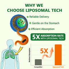 Close-up of Liposomal Lung Cleansemax capsules highlighting liposome delivery.