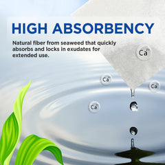 Ceeport calcium alginate wound dressing 4x4 gel-forming layer demonstrates moist environment