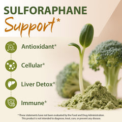 Cenffitio Sulforaphane powder scoop highlighting easy-to-mix daily powder
