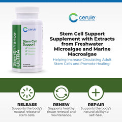 Cerule StemEnhance Ultra bottle front with 60 capsules for daily support