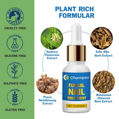 CHARMPOO botanical formula with willow bark and ginseng on bottle