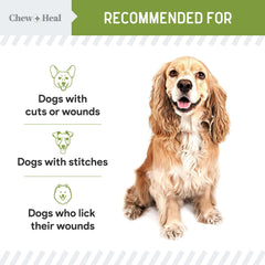 Chew + Heal Labs waterproof bandage keeps dog wounds dry during outdoor play.