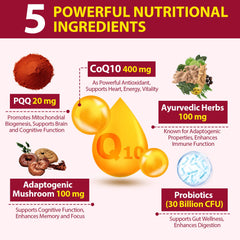 Ciaceae CoQ10 Gummies adaptogenic mushroom blend with Reishi and Lion's Mane for focus.
