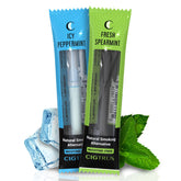 Cigtrus two-pack peppermint spearmint inhalers for on-the-go cravings