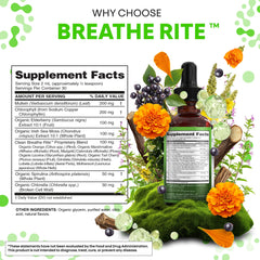 Clean Nutra Mullein Drops spirulina powder visual emphasizes vitality support.