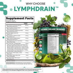 Clean Nutraceuticals bladderwrack and sea moss capsules emphasizing mineral-rich nourishment