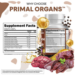 Bottle of Clean Nutraceuticals liver capsules pouring capsules for easy daily dosing
