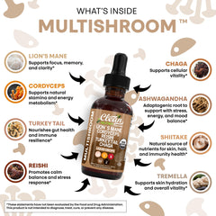 Clean Nutraceuticals Mushroom Drops measure drops shows precise dosing for daily vitality.