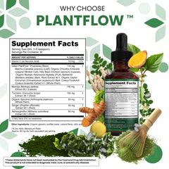 Clean Nutraceuticals Turmeric Ginger Elixir dropper with mint flavor and quick absorption