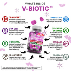 Clean Nutraceuticals UVA Ursi cranberry gummies shown as urinary health support.