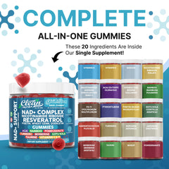 Youth Bloom gummies close-up showing berry texture and flavorful blend