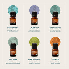 Cliganic eucalyptus essential oil bottle supporting clear breathing in diffusers