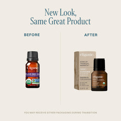 Cliganic Organic Clove Bud oil in diffuser-blend setup for cozy scents.