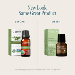 Cliganic rosemary essential oil diffuser setup ready for calming aromatherapy sessions