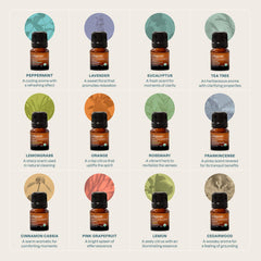 Cliganic tea tree essential oil bottle for purifying spaces and natural care.