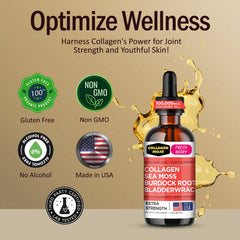 Collagen Mojo burdock root component suggests digestive wellness support.