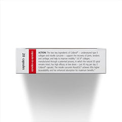 Collanol 3D collagen detail highlights intact undenatured collagen concept
