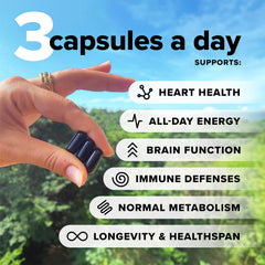 Complement Essential vegan multivitamin pack closeup highlighting capsule texture.