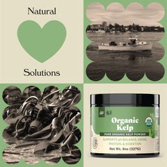 Complete Natural Kelp Powder being scooped for easy daily use.