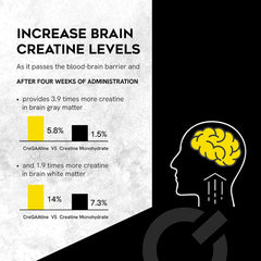 CreGAAtine Informed Sport certification label signals doping-free use.