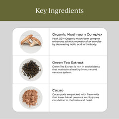 CYMBIOTIKA Liposomal Longevity Mushrooms coffee mix with rich chocolate flavor