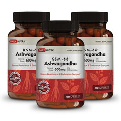 DailyNutra KSM-66 Ashwagandha bottle for daily relaxation and focus.