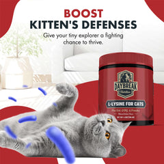 Daybreak Nutrition cat food topper with lysine powder shown on food bowl
