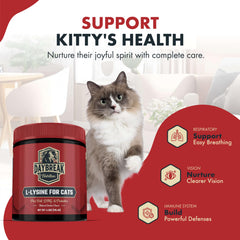 Daybreak Nutrition prebiotics-lysine blend visual emphasizing gut health benefits
