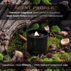 Deep Eden wood wick reveals a soft crackle and warmth.