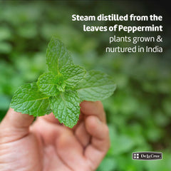 De La Cruz peppermint oil glass bottle on a bright counter