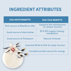 Designer Wellness Designer Egg vanilla baking idea demonstrates versatile protein use