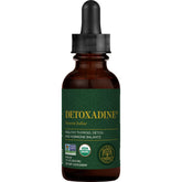Global Healing Center Detoxadine bottle close-up highlighting organic iodine drops for thyroid support