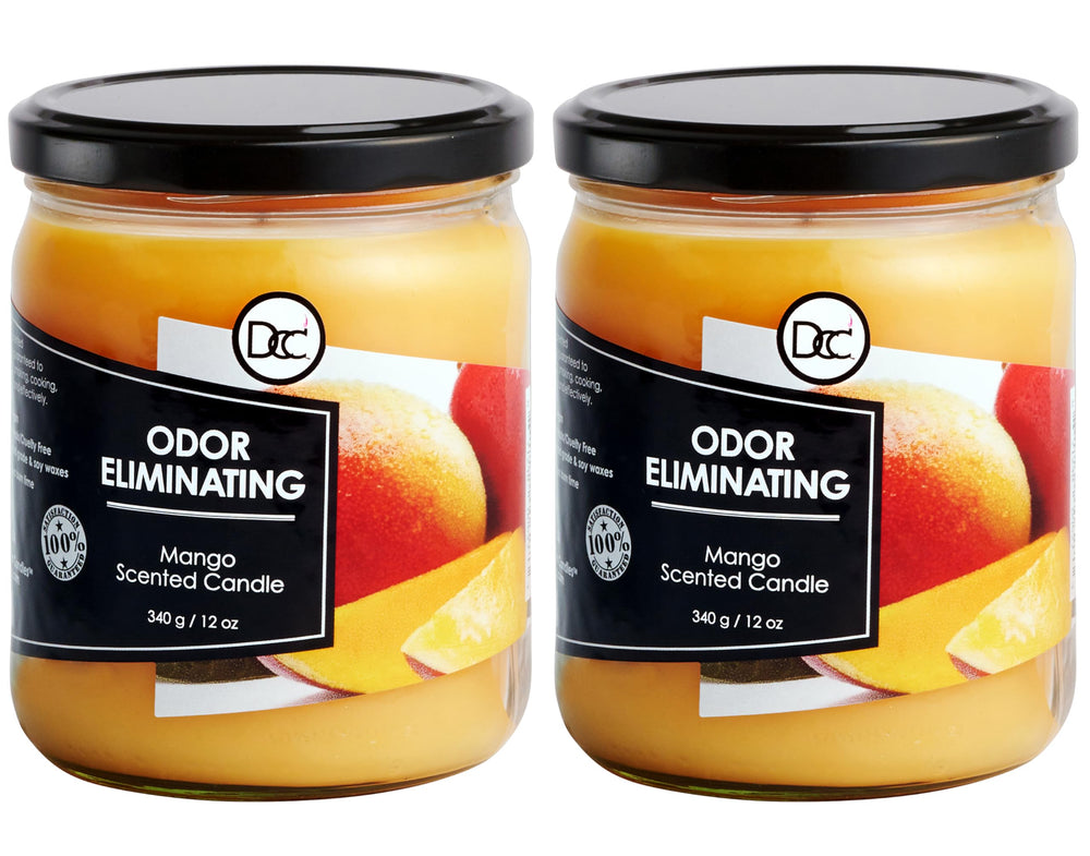 Dianne's Mango Two Pack Candle packaging for gifting and home fragrance.