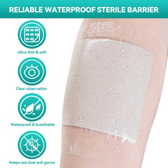 Dimora breathable bandage supports skin health while shielding minor wounds.
