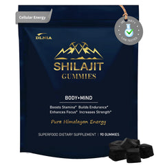DLNIA Shilajit Gummies bottle with Ashwagandha and Turmeric supports natural energy.