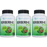 Doctor Recommended Supplements Berberine Plus bottle front displays 1200 mg potency for daily support.