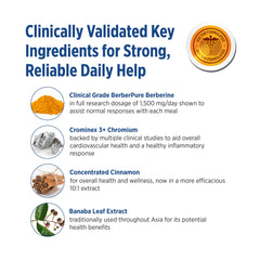 GlucoGold cinnamon extract visual suggesting enhanced potency and absorption.