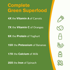 Doctor's Recipes Moringa freeze-dried leaves illustrate high antioxidant content