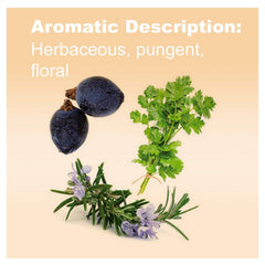 doTERRA Zendocrine bottle with drops shows easy dosing for water, tea, or citrus drinks.